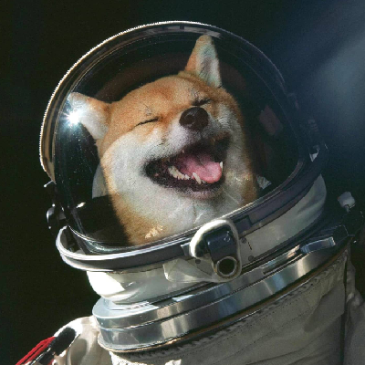 🚀 Shibastronaute :xenoheart: