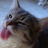 Dienstag ????ANTIFASCHISMUS ????????