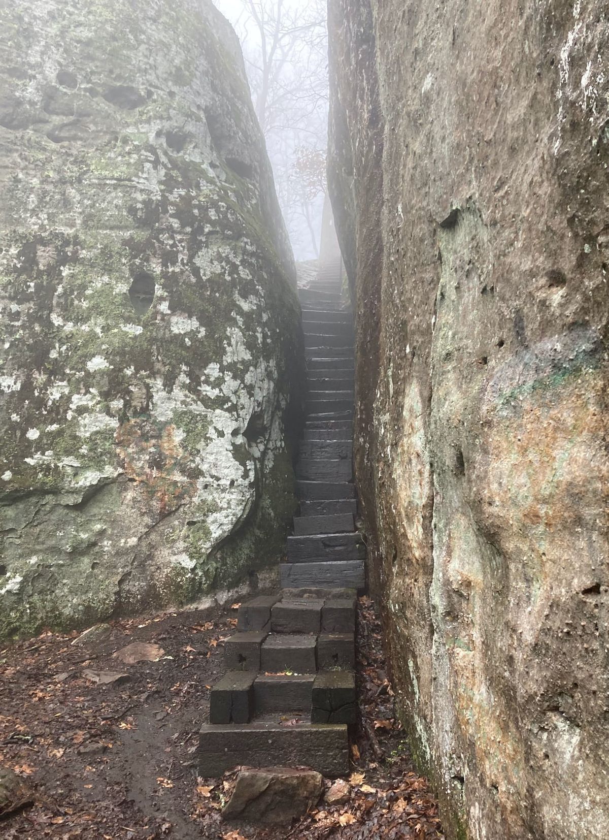 Mist shrouded stairs going up.