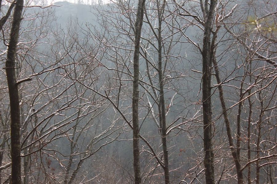 Hiking Laurel-Snow