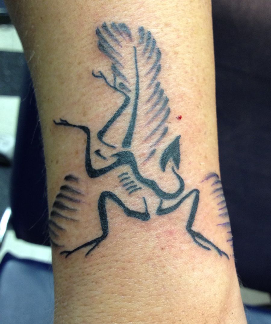 Tattoo of a fossilzed archaeopteryx on Mike's lower arm.
