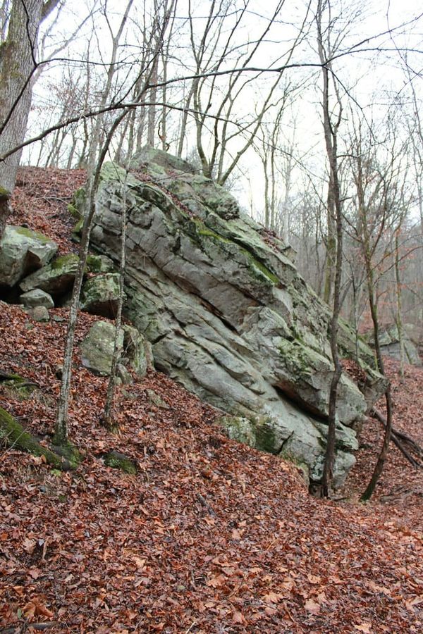 Hiking Laurel-Snow