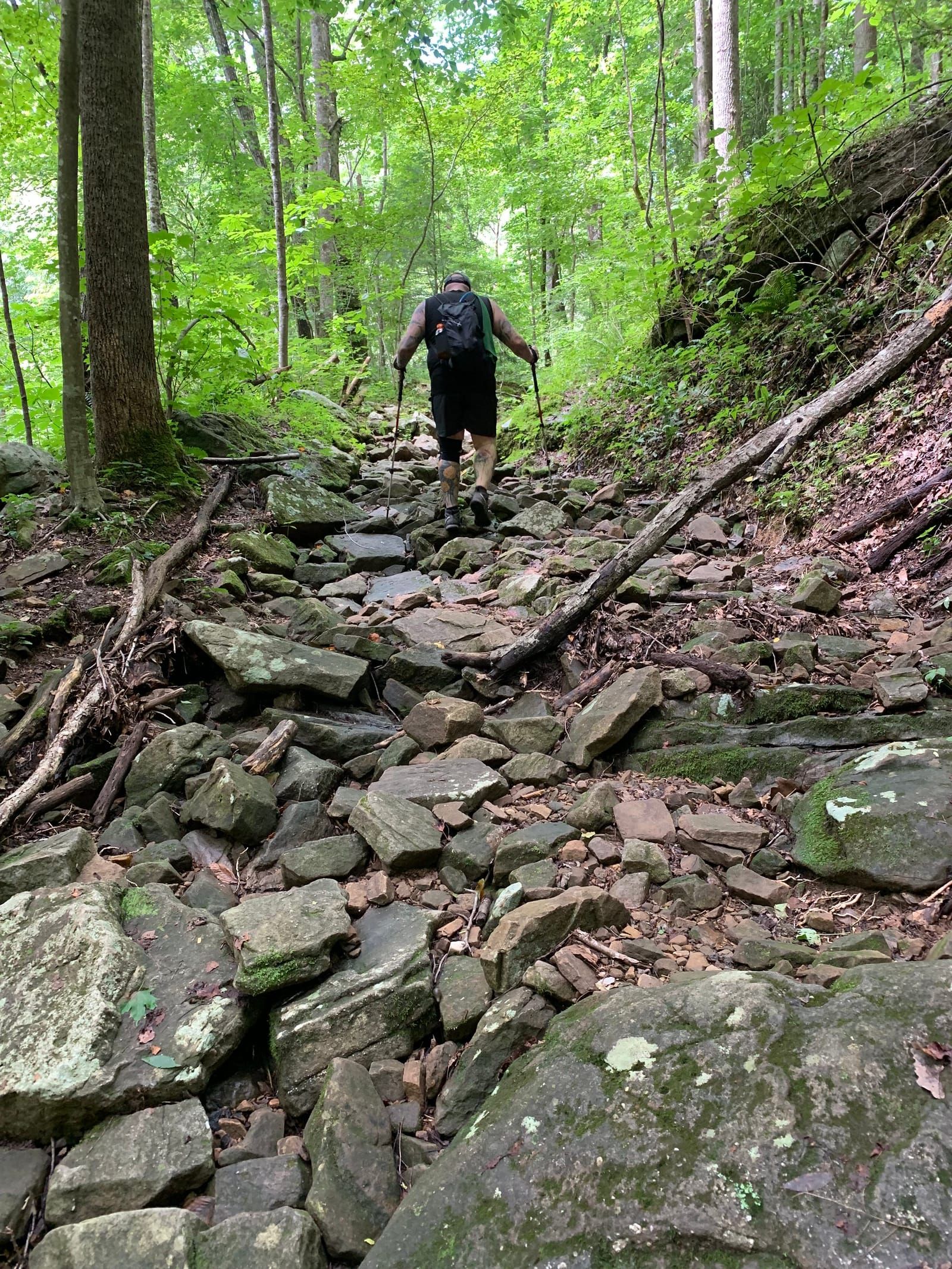 A view of Mike hiking up a steep section of the trail.
