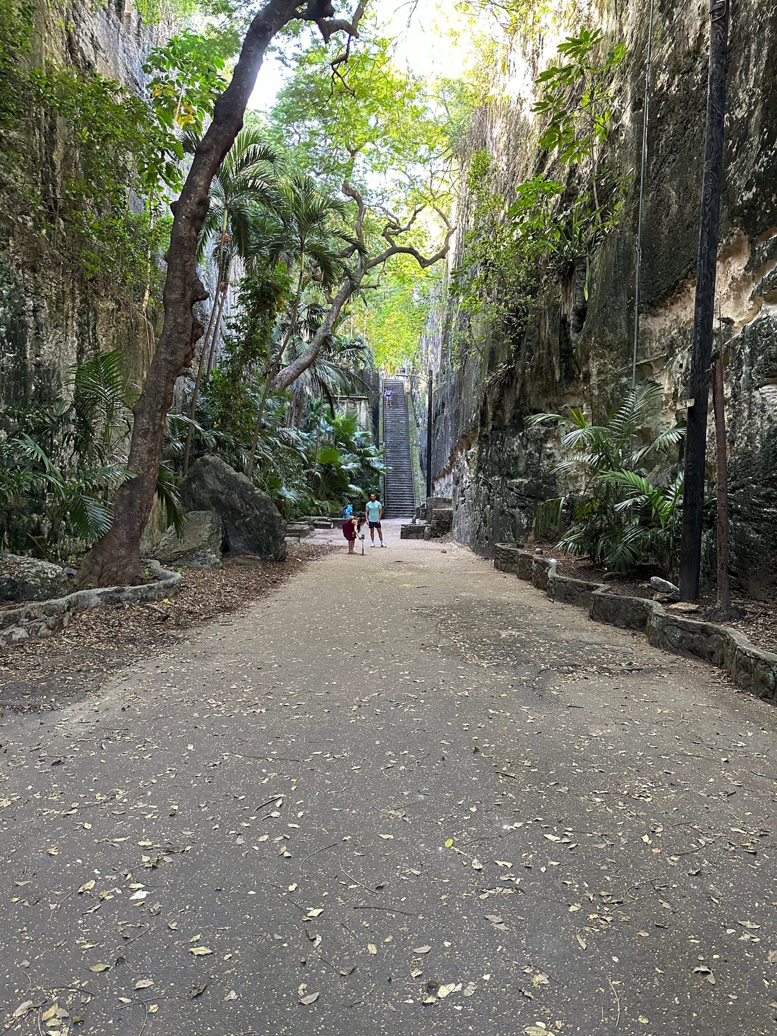 A shaded path with steep rock walls and trees. An old stone staircase is in the distance.