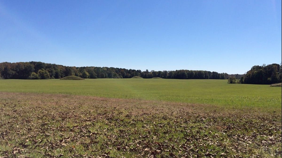 Sunny and bright day. Large field with Indian mounds in the distance.