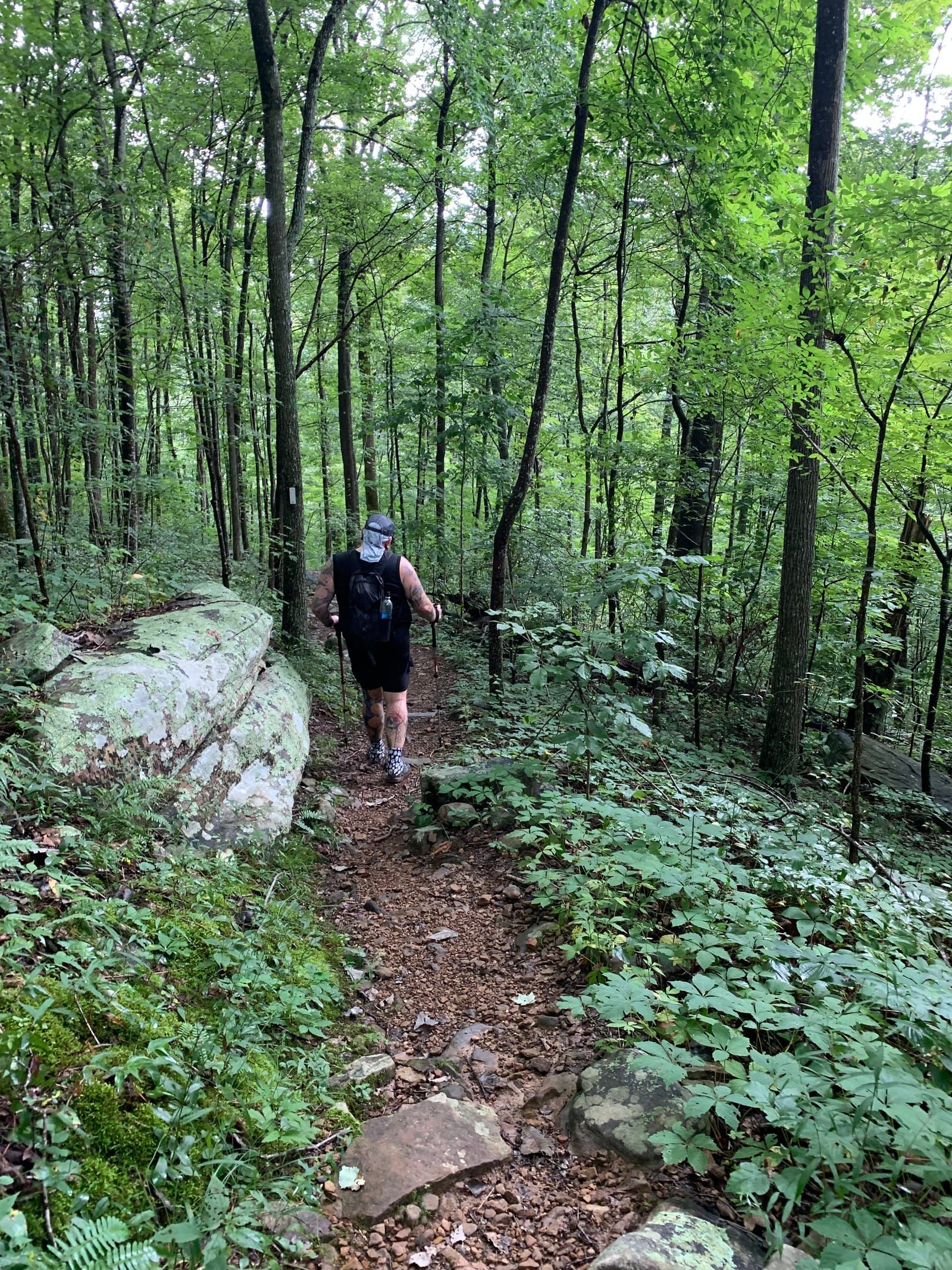 Mike hiking down the trail.