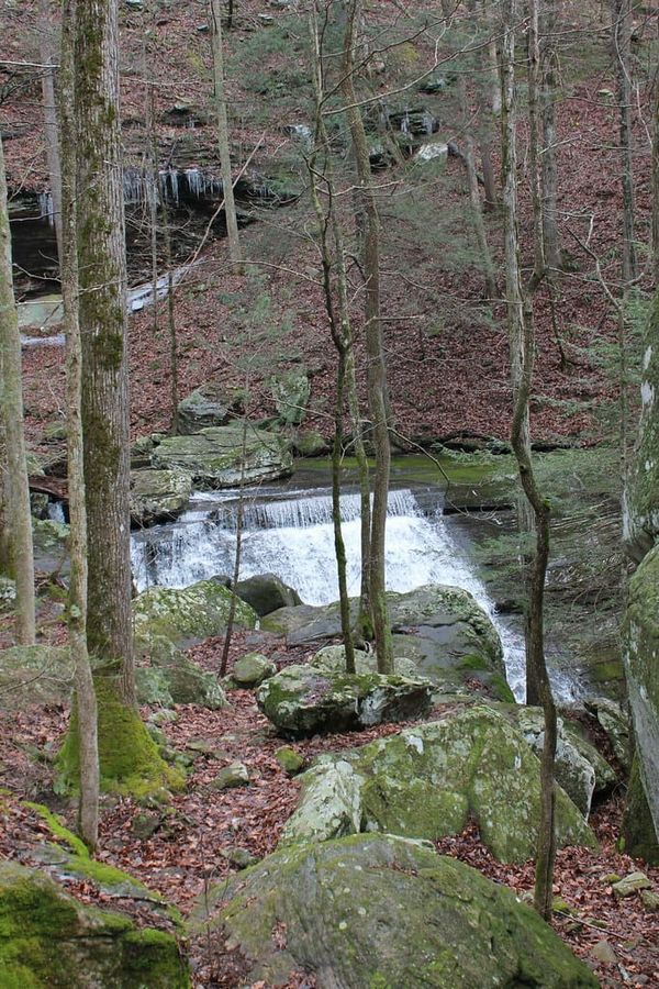 Hiking Laurel-Snow