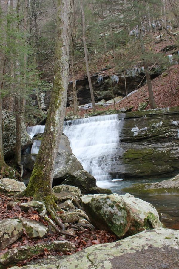 Hiking Laurel-Snow