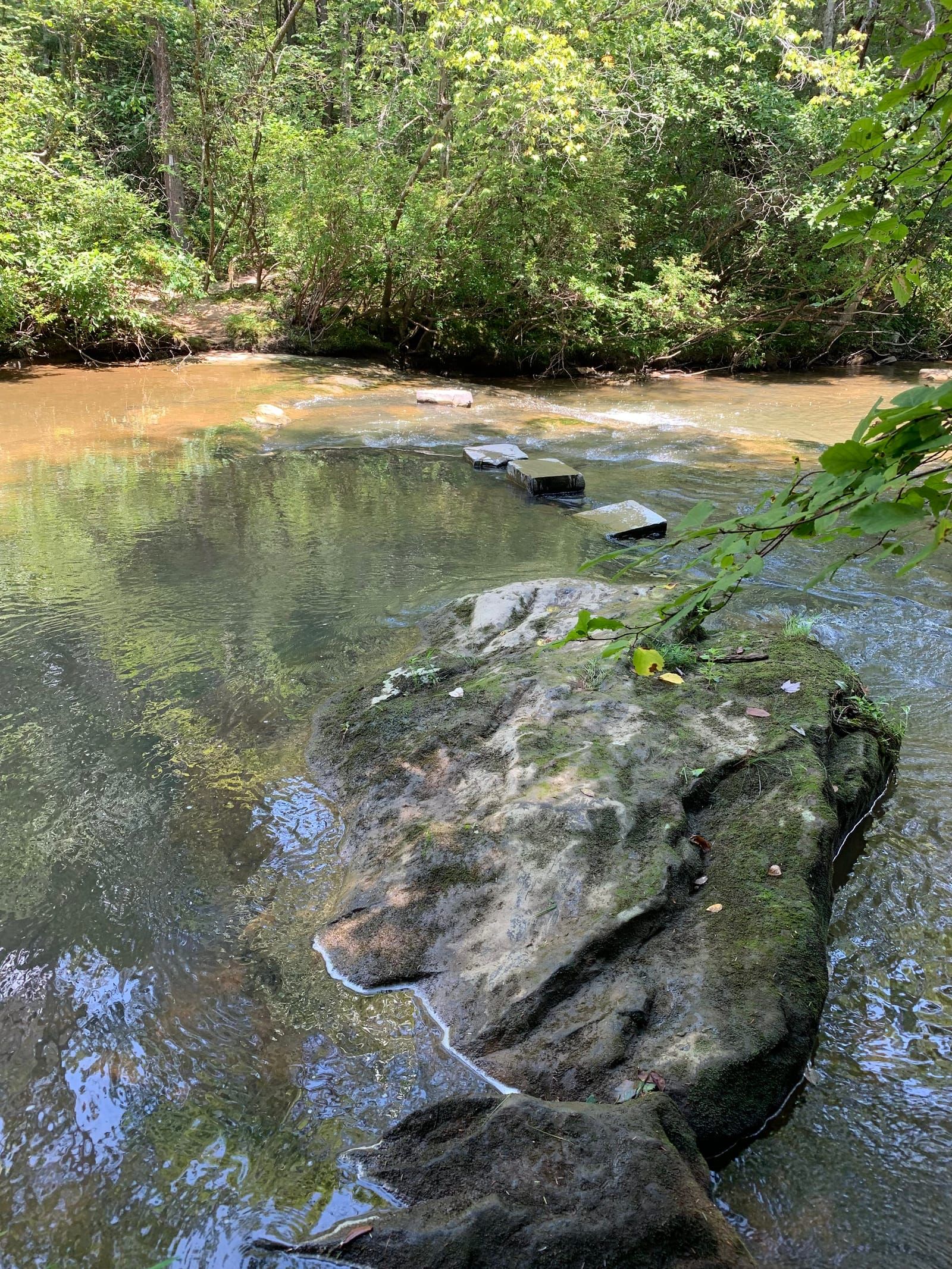 The trail crosses through a creek with step stones to use to get across.