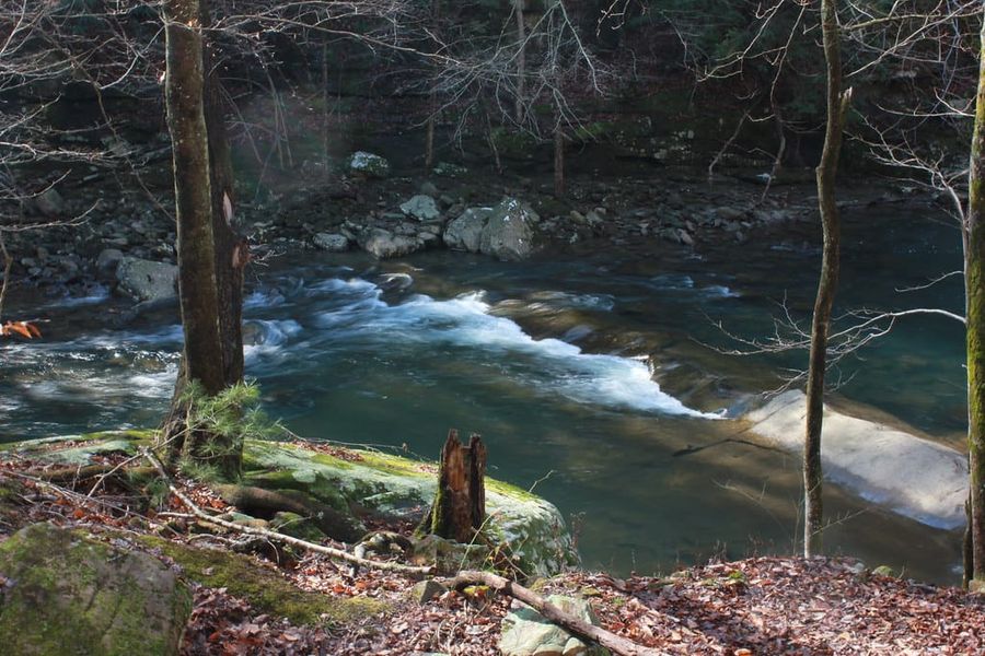 Hiking Laurel-Snow