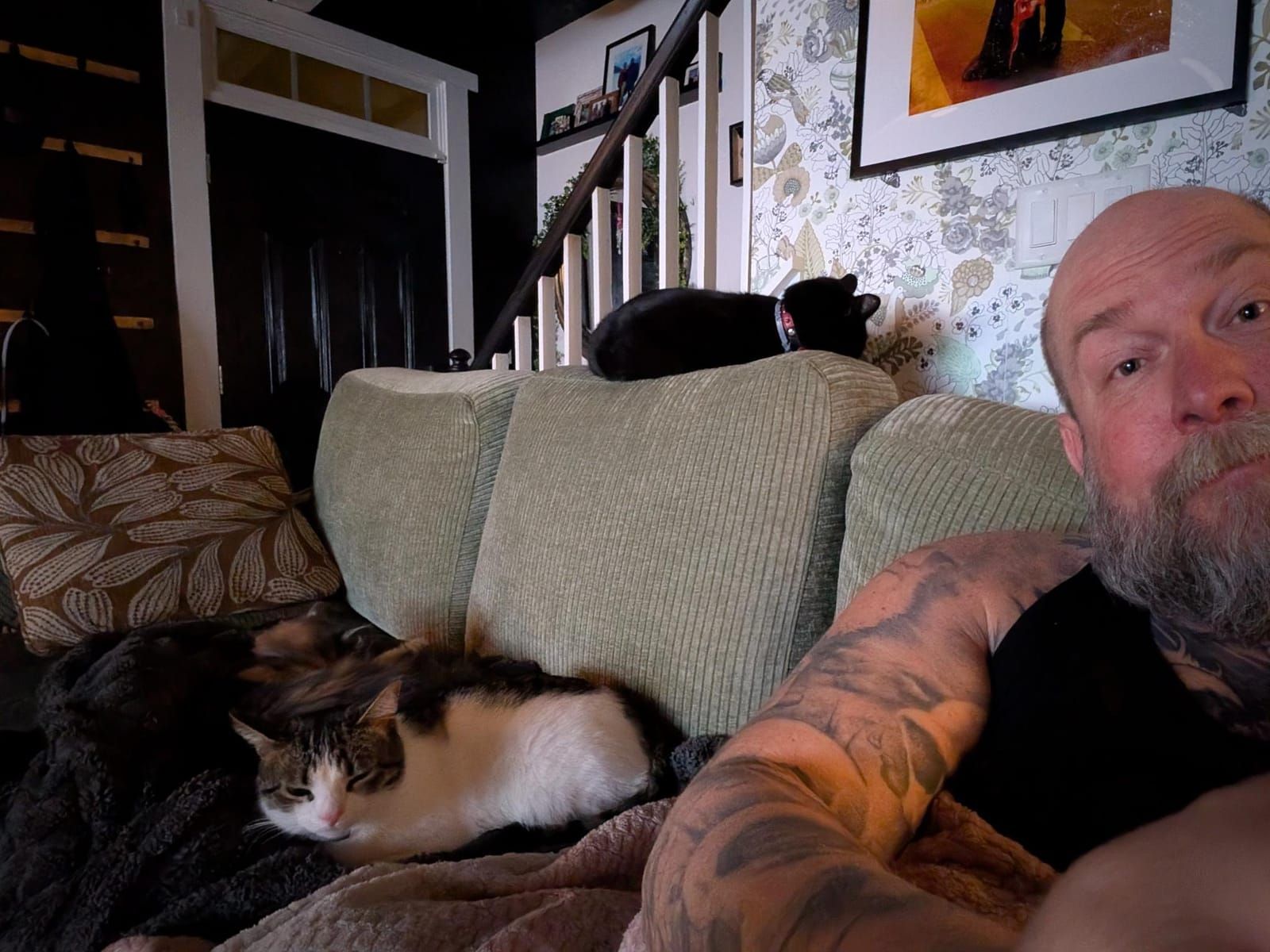 A man with a beard and tattooed arms sits on a beige couch with multiple cats around him in a home interior patterned wallpaper and framed art work on the walls.
