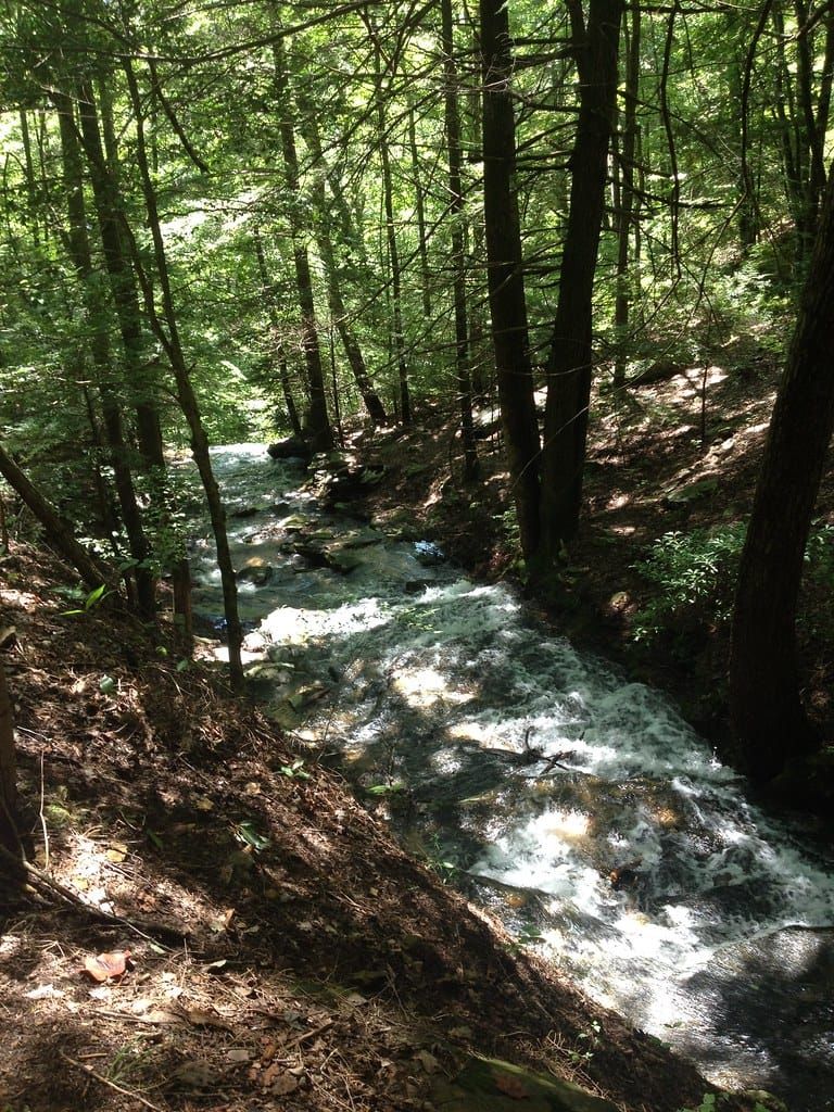 IMG_0619