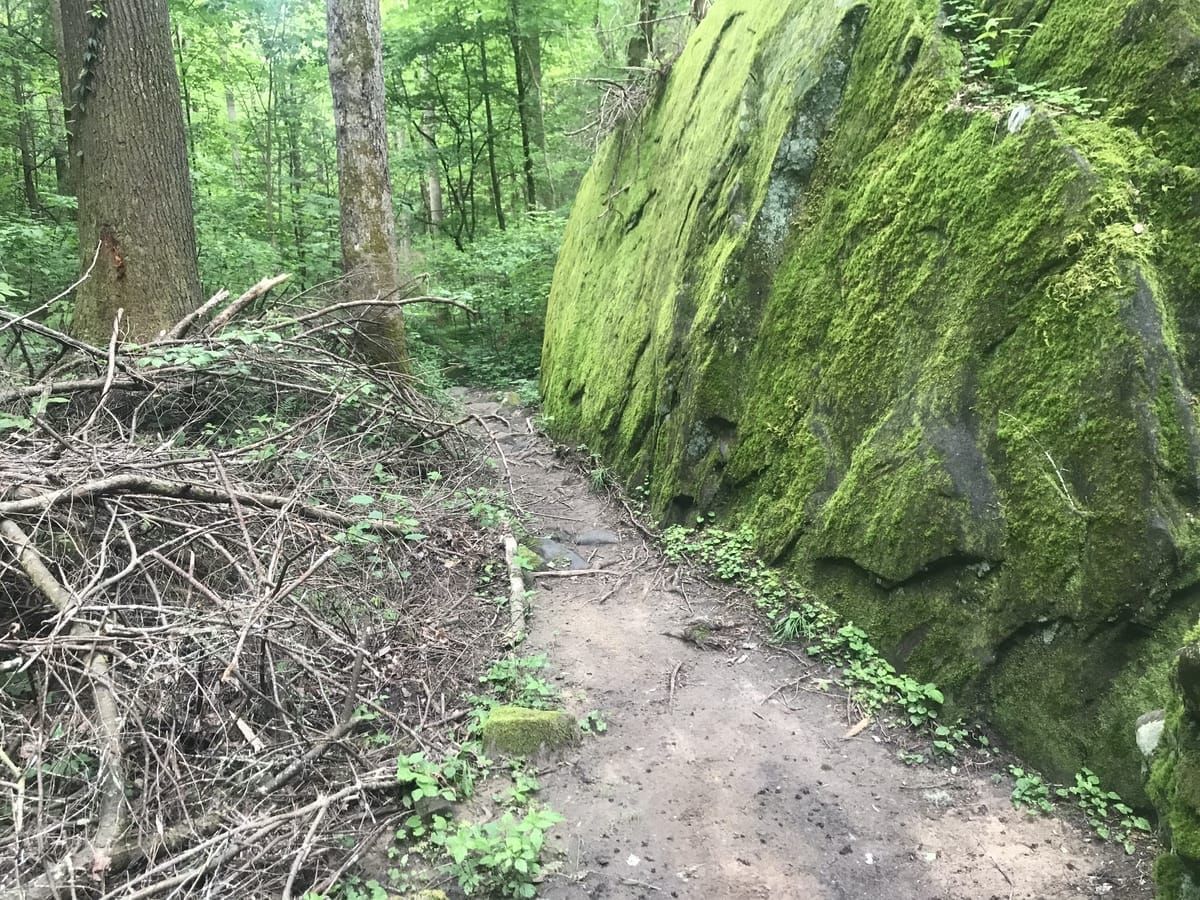 A well worn hiking trail with a large mossy rock to the right.