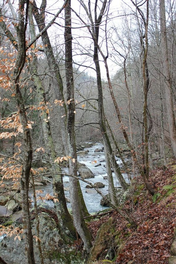 Hiking Laurel-Snow
