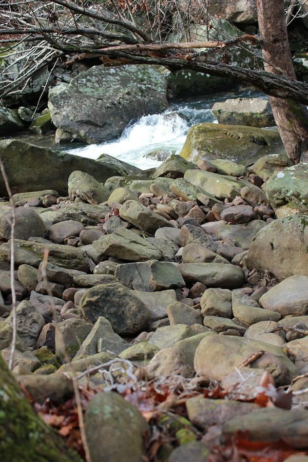 Hiking Laurel-Snow