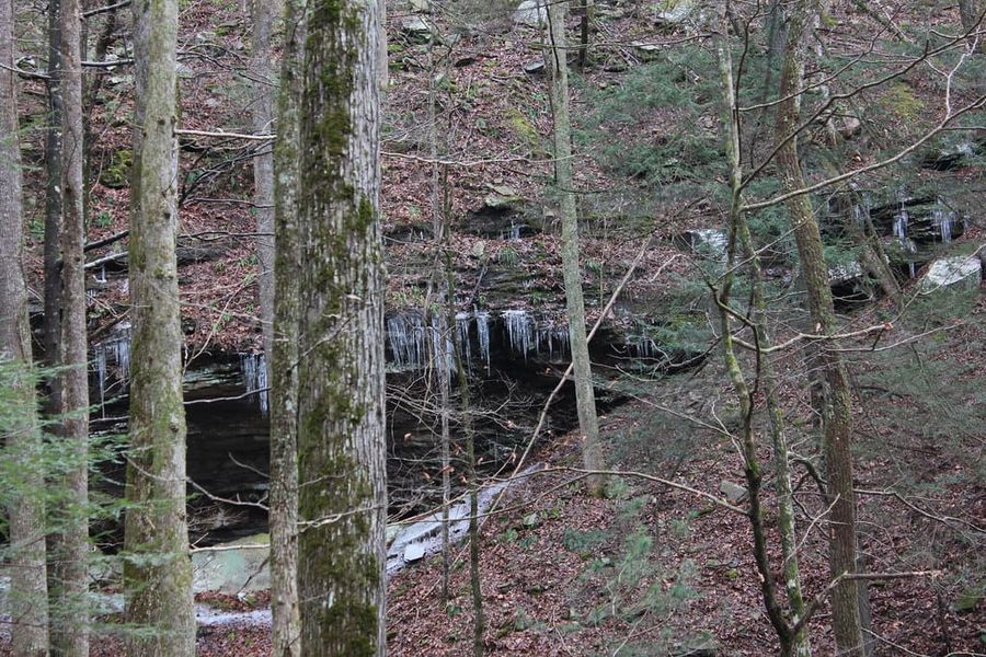 Hiking Laurel-Snow