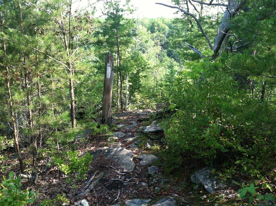 2012-07-21 at 09.29.00