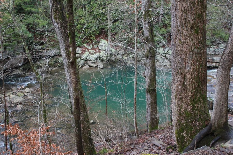 Hiking Laurel-Snow