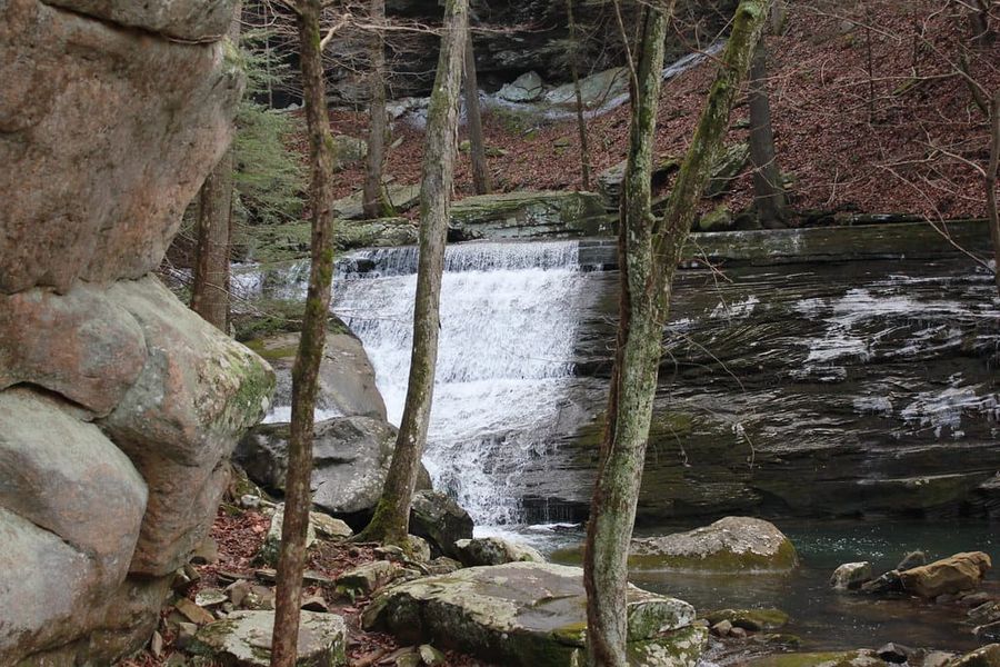 Hiking Laurel-Snow