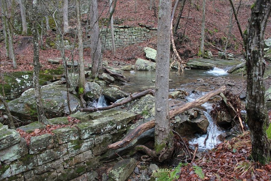 Hiking Laurel-Snow