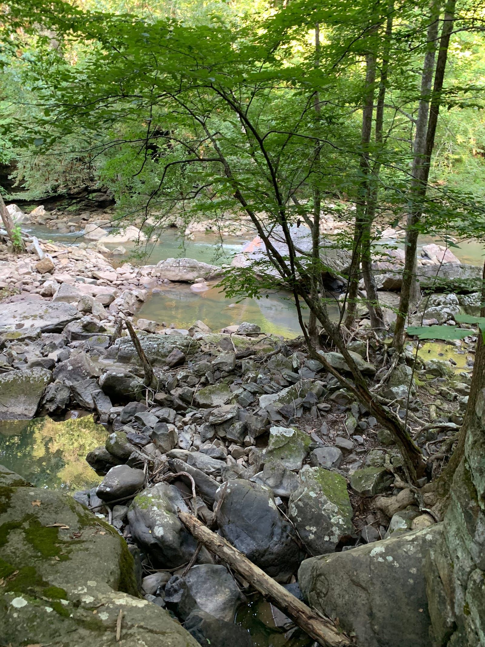 Photo of Richland Creek from the trail.
