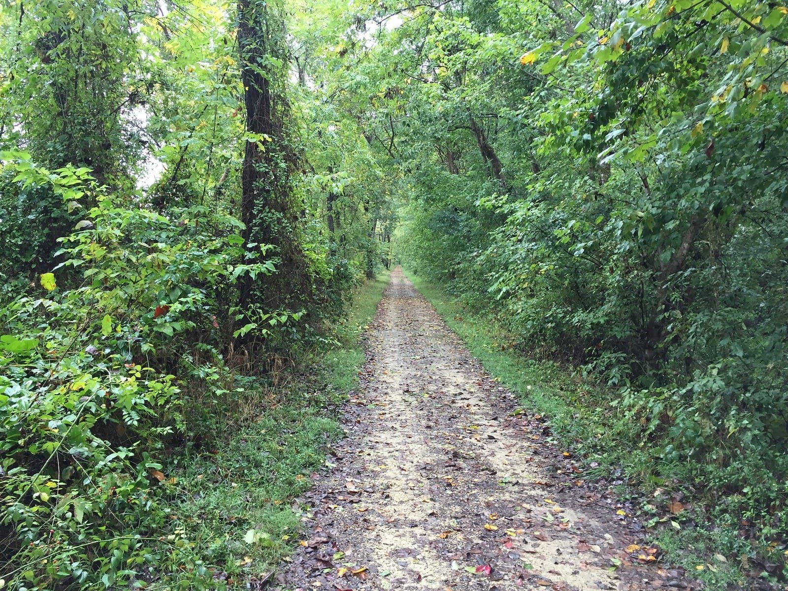 C&O and GAP Trails: Day 1