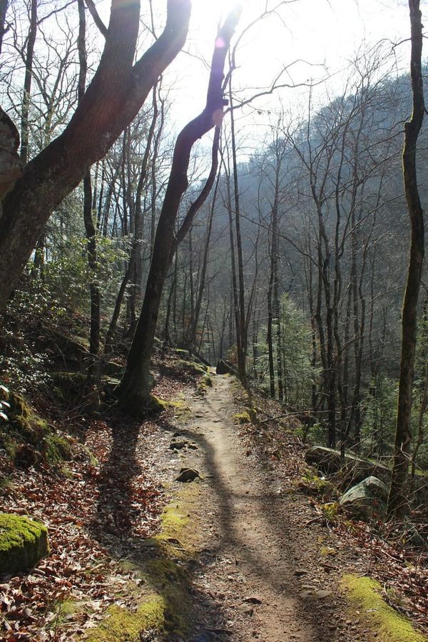 Hiking Laurel-Snow