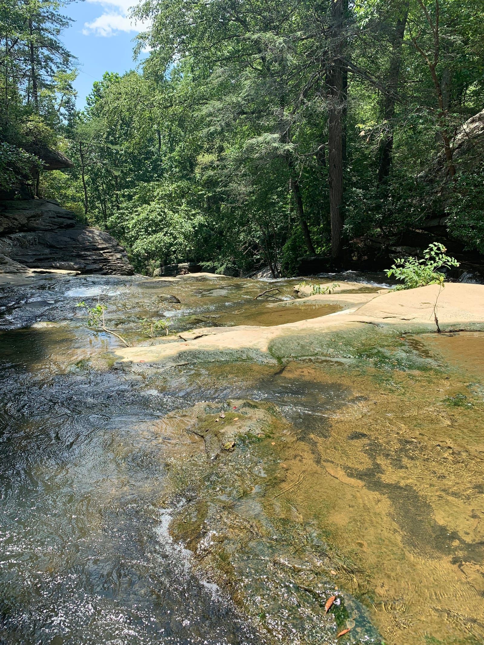 Photo from the smooth rocky middle of the wooded creek.