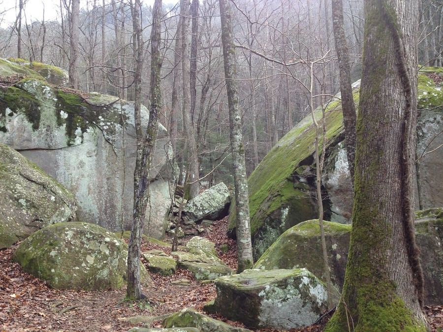 2013-01-26 at 10.00.37