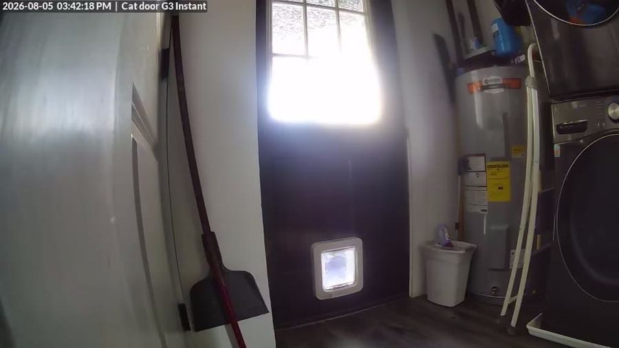 Security camera footage from a cat door showing a laundry room or utility space with a white cat door flap in the center of a dark door, surrounded by household appliances, storage items, and a window with bright light streaming through it.