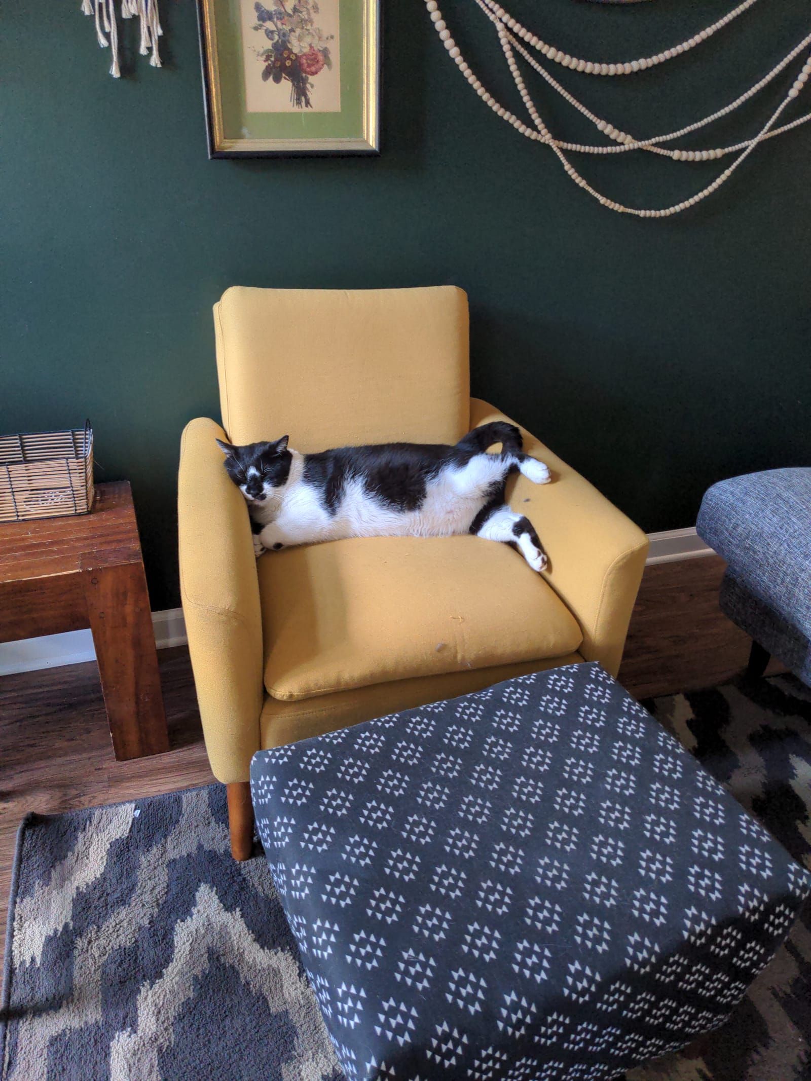 Oliver the black and white kitty laying on a yellow chair crunched up asleep with his head laying on the arm like a little person.