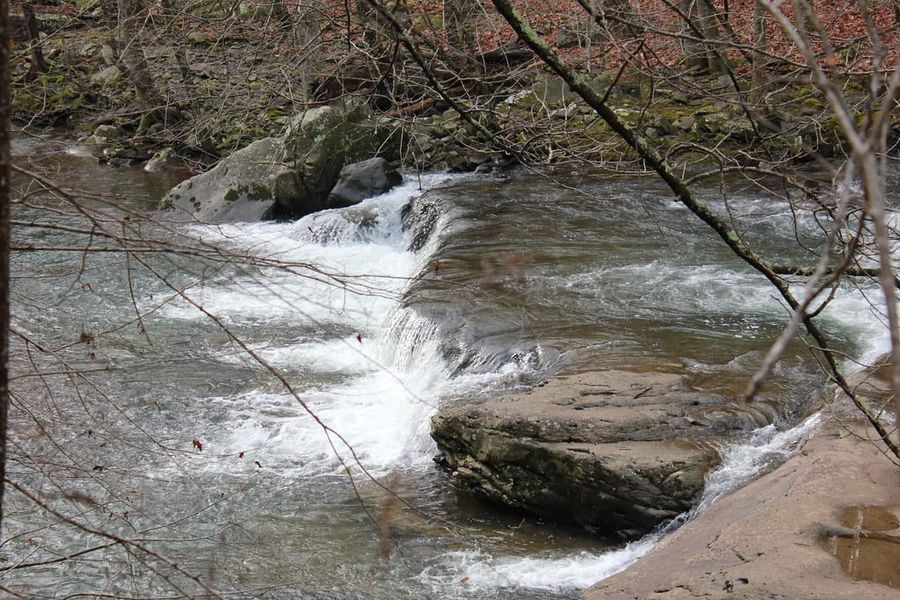 Hiking Laurel-Snow