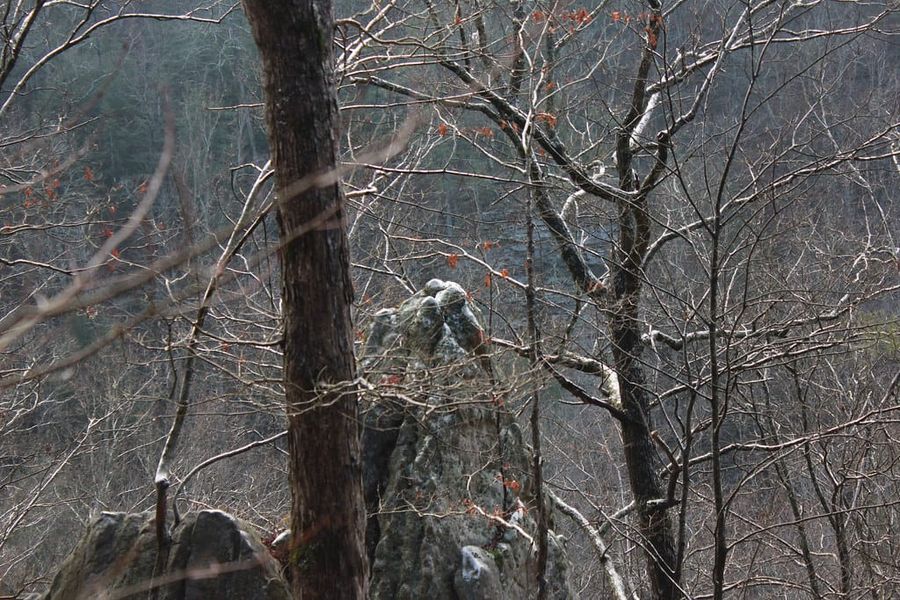 Hiking Laurel-Snow