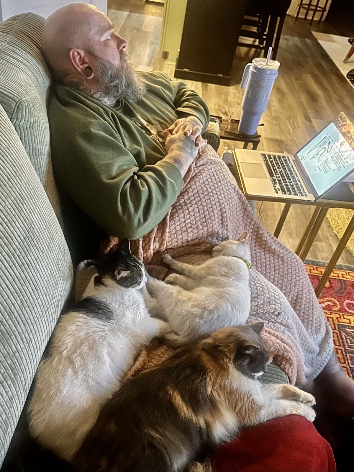 Mike dozing on the couch with Polly and Linus piled on his lap