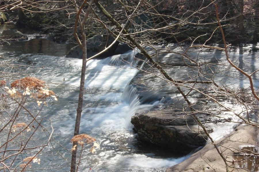 Hiking Laurel-Snow