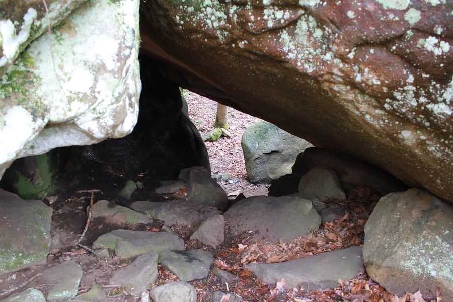 Hiking Laurel-Snow