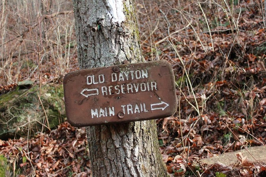 Hiking Laurel-Snow