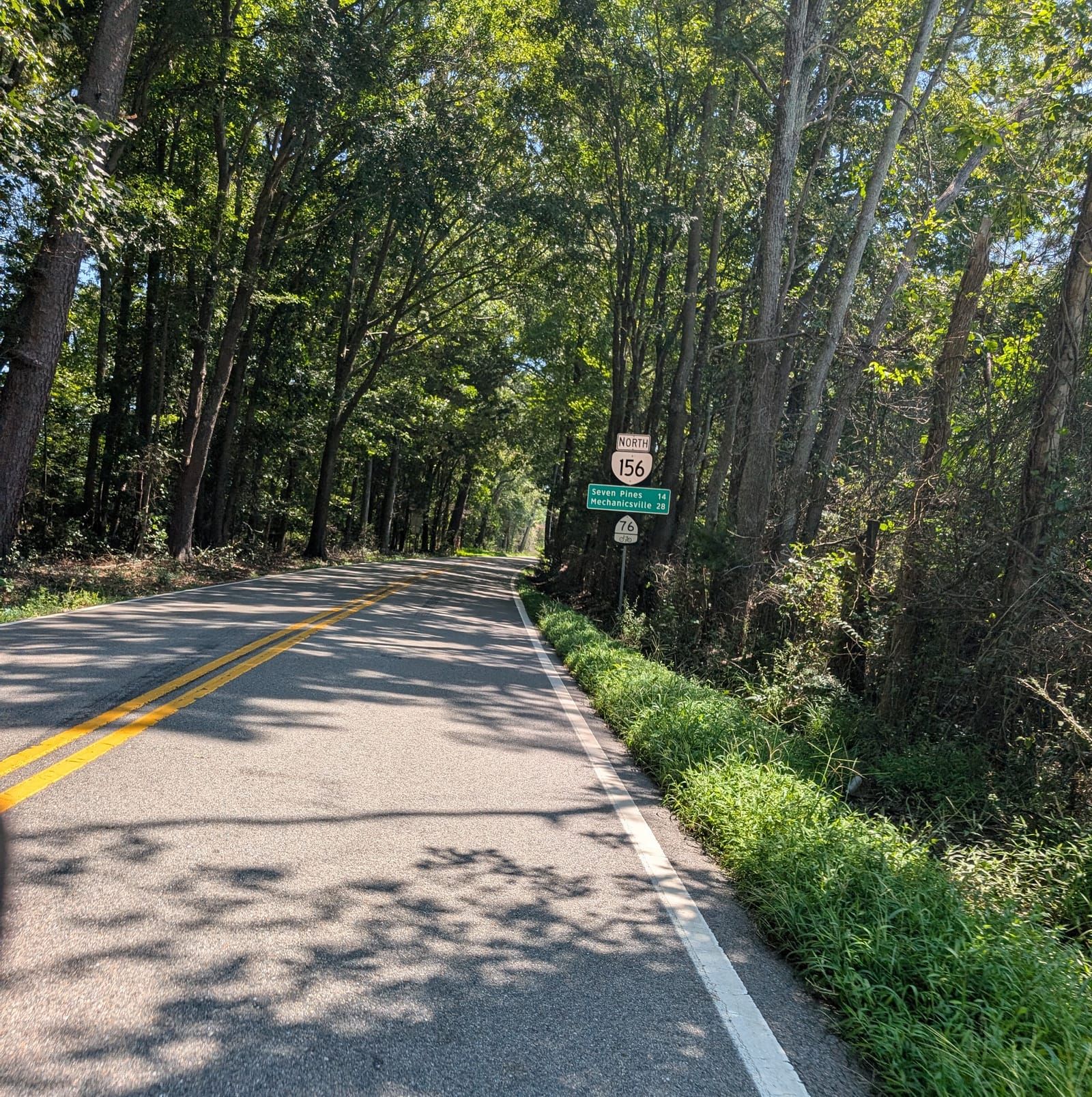 A tree-lined road stretches ahead with double yellow center lines under dappled sunlight. A green directional sign for Route 156 North indicates Seven Pines and Mechanicsville ahead.