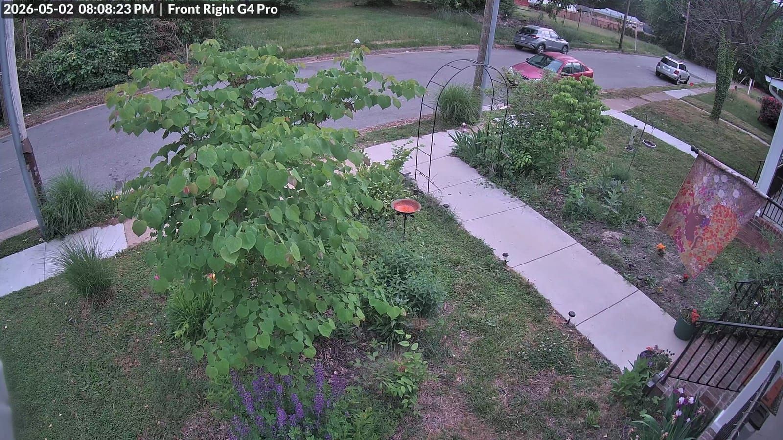 Front yard security camera view showing a residential driveway and street with parked cars, concrete walkway lined with flowering plants and shrubs, and green lawn areas on a spring evening.