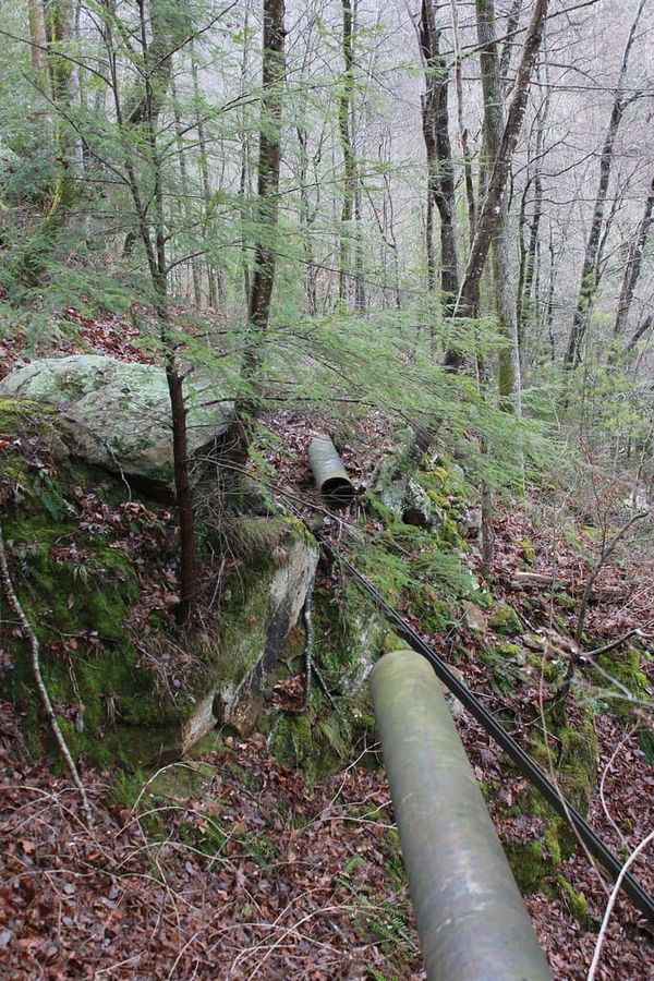 Hiking Laurel-Snow