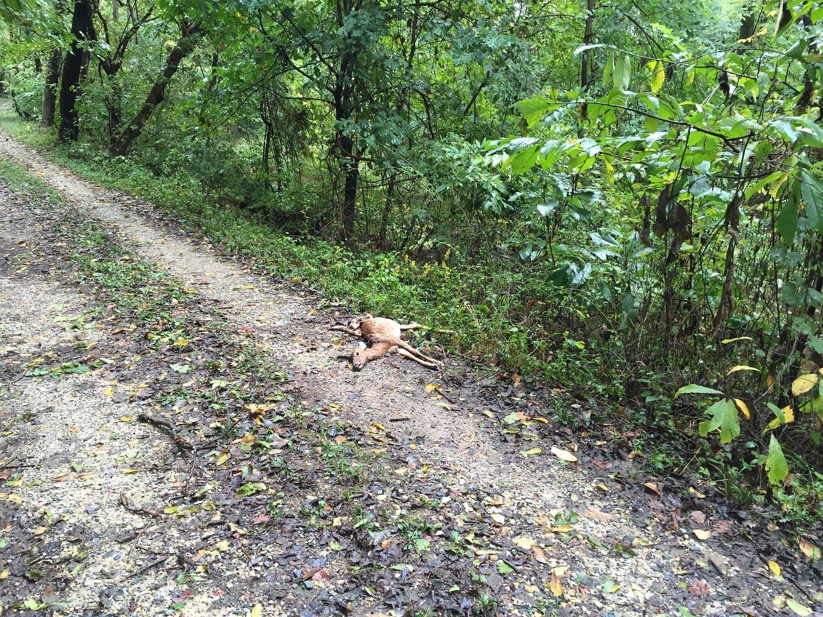 C&O and GAP Trails: Day 1