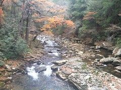 Cumberland Trail