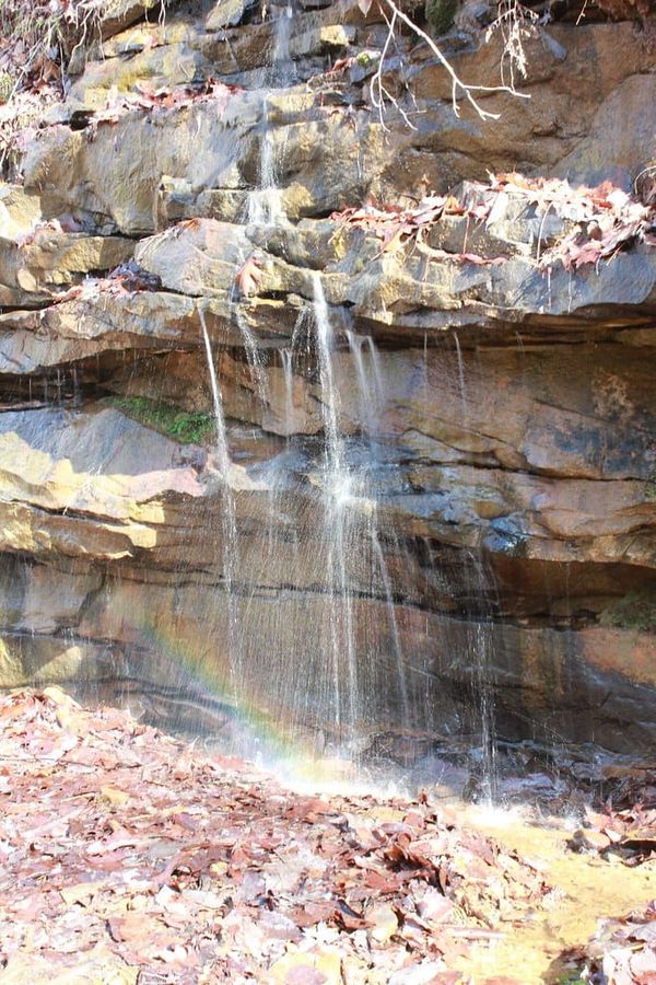 Hiking Laurel-Snow