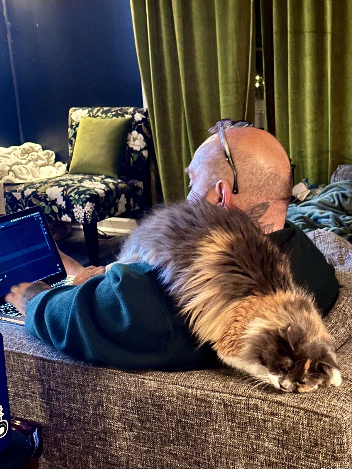 Polly sprawled across Mike's back on the couch while he works on a laptop