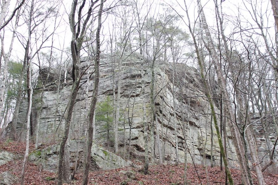 Hiking Laurel-Snow