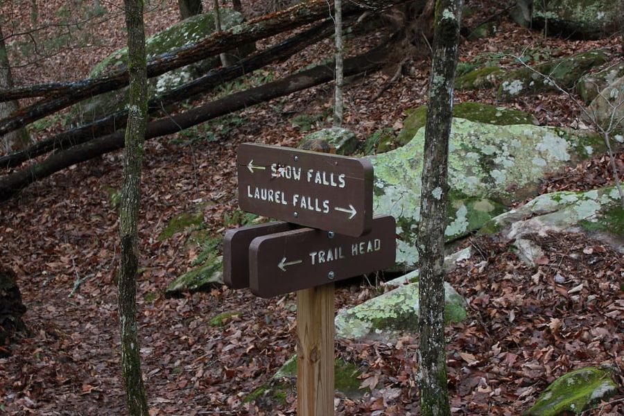 Hiking Laurel-Snow