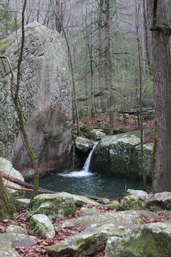 Hiking Laurel-Snow