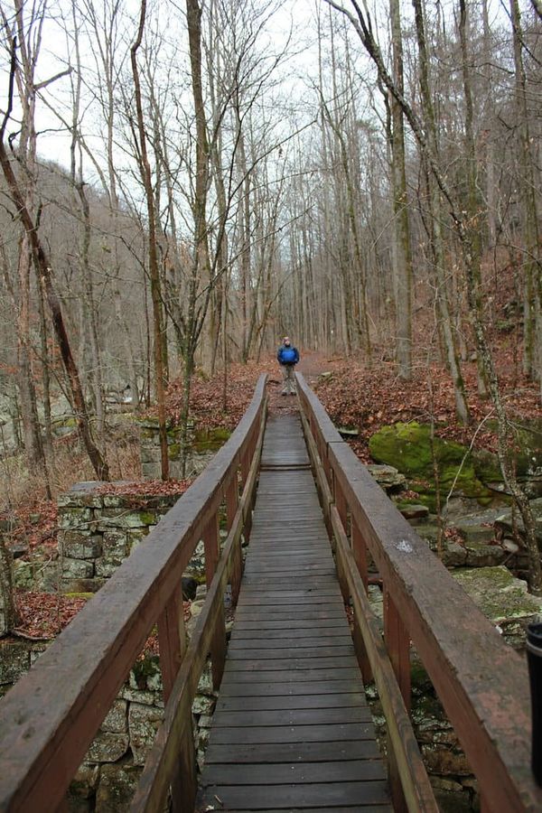 Hiking Laurel-Snow