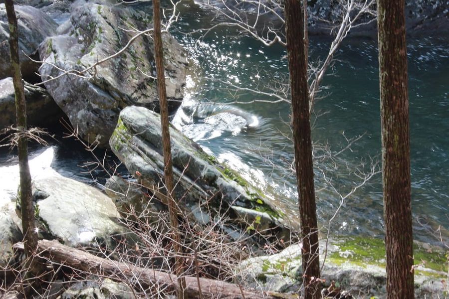 Hiking Laurel-Snow