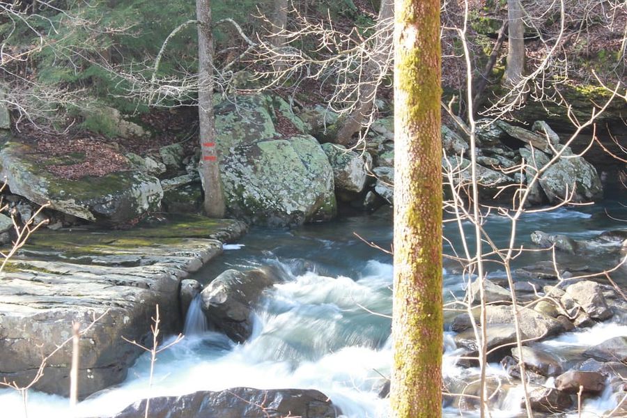 Hiking Laurel-Snow